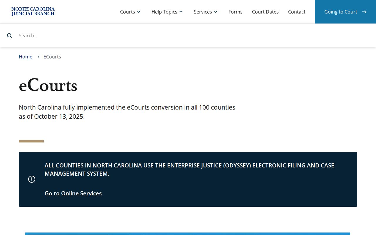 Richmond County court docket eCourts system overview